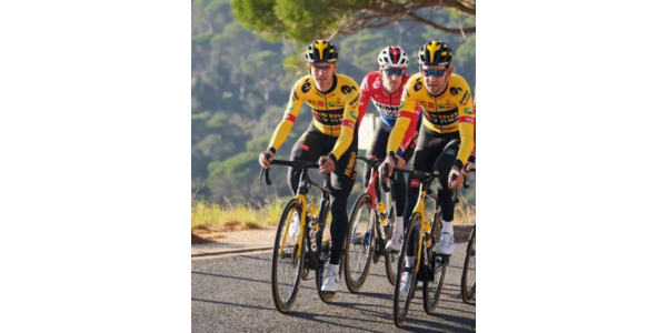 Holdmedlemmer inficeret med den nye krone, Jumbo træningslejr sluttede tidligt